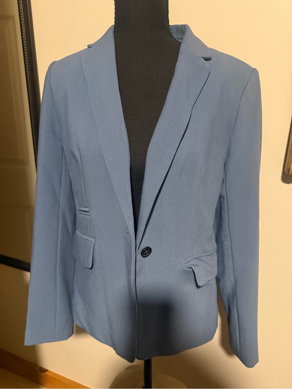 Banana Republic Women's Blue Tailored Single-Button Blazer, Size 6P